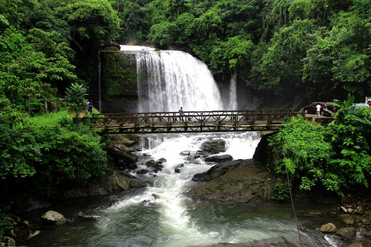 Trails and Waterfalls in Underrated National Forests 