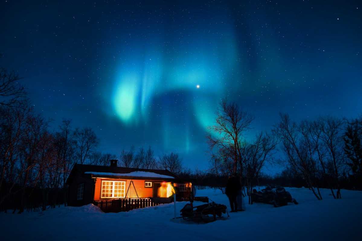 Unique Forest Cabins for a Quiet Escape 